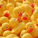 Muchas reunion poca planeacion